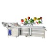 Fruit vegetables bubble cleaning machine