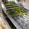 Fruit and Vegetable Cleaning and Drying Machine