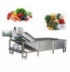 Fruit and Vegetable Cleaning and Drying Machine